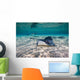 Southern Stingrays Sandbar Right Side Wall Decal