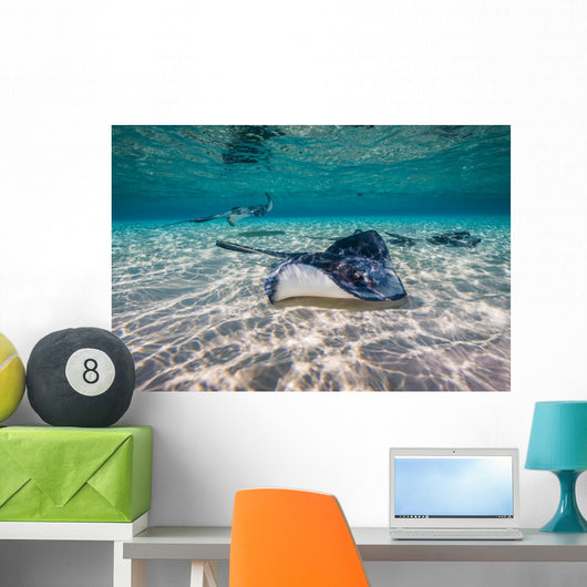 Southern Stingrays Sandbar Right Side Wall Decal