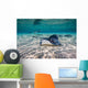 Southern Stingrays Sandbar Right Side Wall Decal