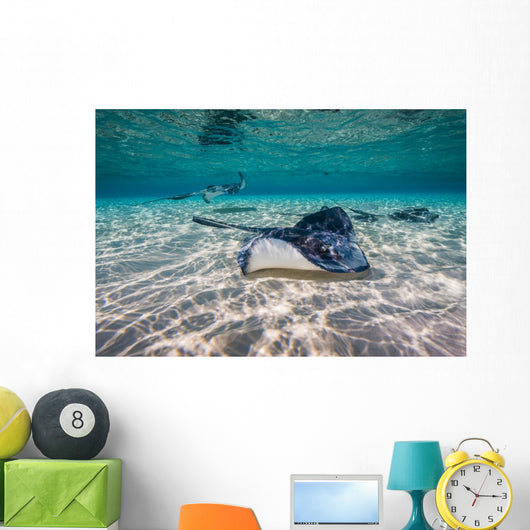 Southern Stingrays Sandbar Right Side Wall Decal
