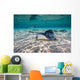 Southern Stingrays Sandbar Right Side Wall Decal