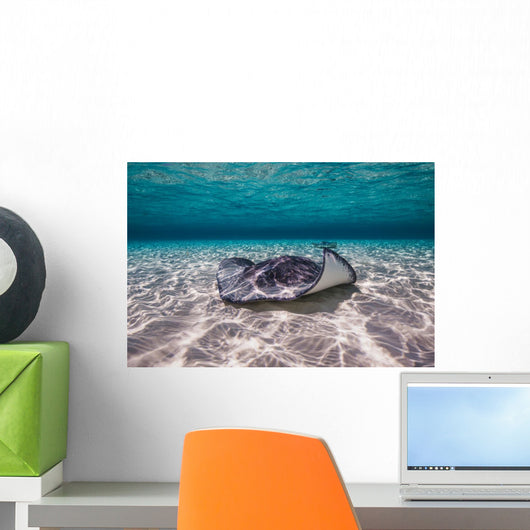 Southern Stingrays Sandbar Floor Wall Decal