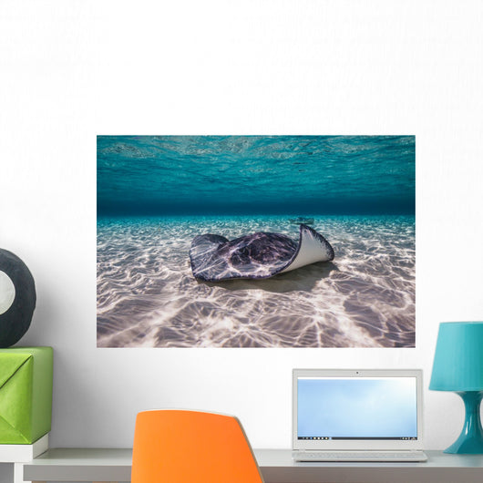 Southern Stingrays Sandbar Floor Wall Decal