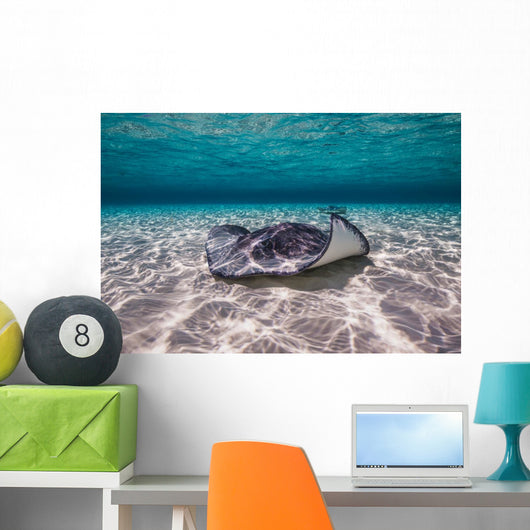 Southern Stingrays Sandbar Floor Wall Decal