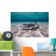 Southern Stingrays Sandbar Floor Wall Decal