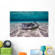 Southern Stingrays Sandbar Floor Wall Decal