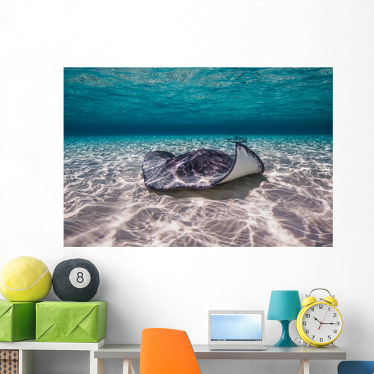 Southern Stingrays Sandbar Floor Wall Decal