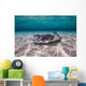 Southern Stingrays Sandbar Floor Wall Decal
