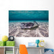 Southern Stingrays Sandbar Floor Wall Decal