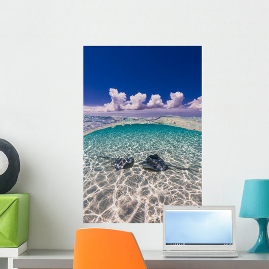 Southern Stingrays Sandbar Water Surface Wall Decal