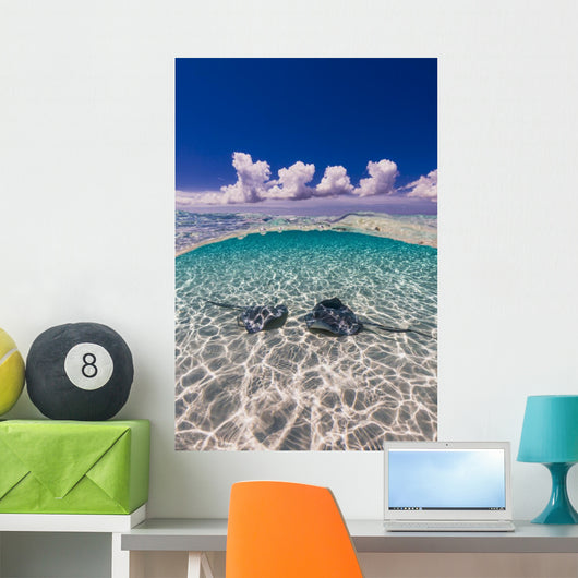 Southern Stingrays Sandbar Water Surface Wall Decal