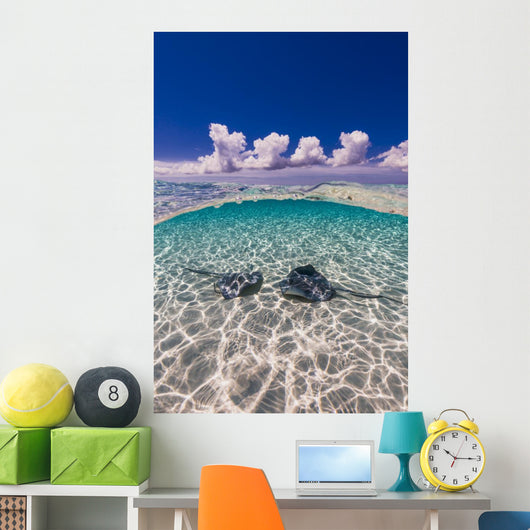 Southern Stingrays Sandbar Water Surface Wall Decal