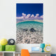 Southern Stingrays Sandbar Water Surface Wall Decal