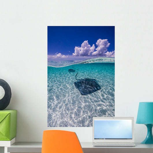 Southern Stingrays Sandbar Vertical Wall Decal