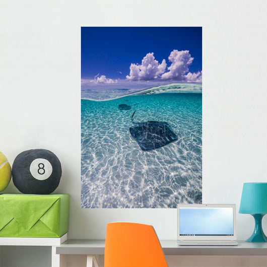 Southern Stingrays Sandbar Vertical Wall Decal