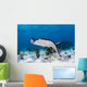 Stingrays Grand Cayman Cayman Swimming Wall Decal