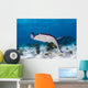 Stingrays Grand Cayman Cayman Swimming Wall Decal