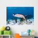 Stingrays Grand Cayman Cayman Swimming Wall Decal