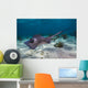 Stingrays Grand Cayman Cayman Wall Decal