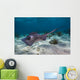 Stingrays Grand Cayman Cayman Wall Decal