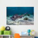 Stingrays Grand Cayman Cayman Wall Decal
