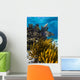 Coral Reef Grand Cayman Close-up Wall Decal