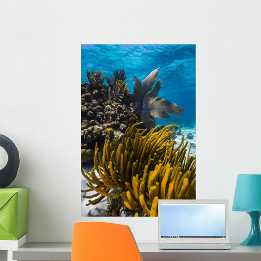 Coral Reef Grand Cayman Close-up Wall Decal