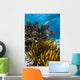 Coral Reef Grand Cayman Close-up Wall Decal