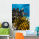 Coral Reef Grand Cayman Close-up Wall Decal
