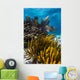 Coral Reef Grand Cayman Close-up Wall Decal
