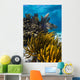 Coral Reef Grand Cayman Close-up Wall Decal