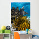 Coral Reef Grand Cayman Close-up Wall Decal