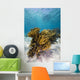 Coral Reef Grand Cayman Wall Decal