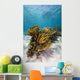 Coral Reef Grand Cayman Wall Decal