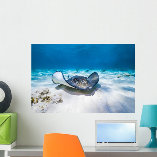 Stingrays Swim through Deeper Wall Decal