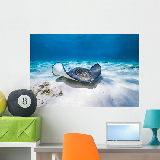 Stingrays Swim through Deeper Wall Decal