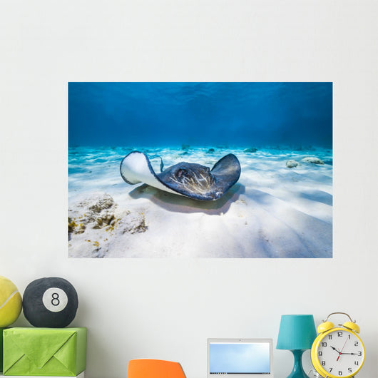 Stingrays Swim through Deeper Wall Decal