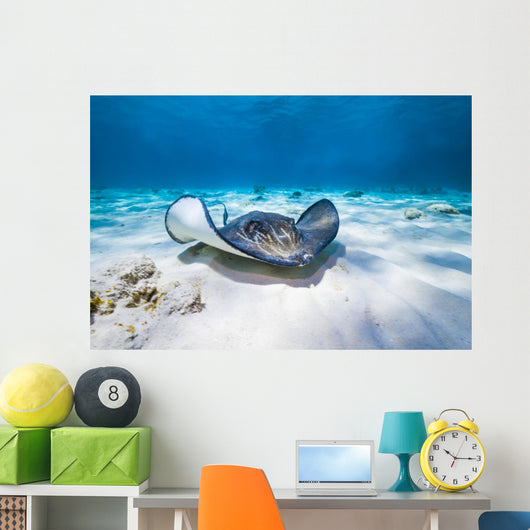 Stingrays Swim through Deeper Wall Decal