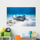 Stingrays Swim through Deeper Wall Decal