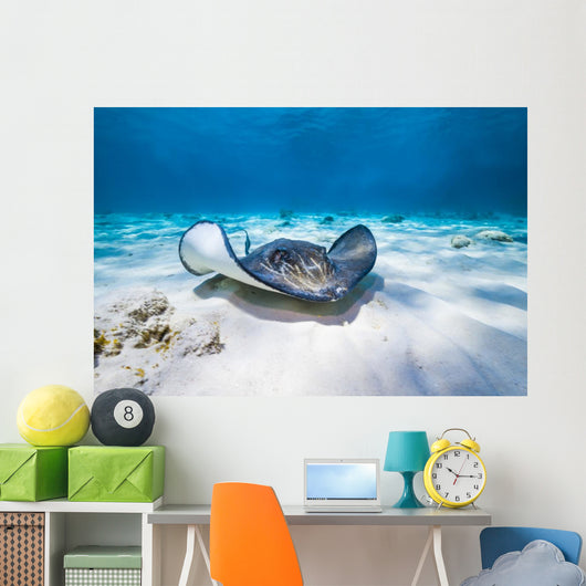 Stingrays Swim through Deeper Wall Decal