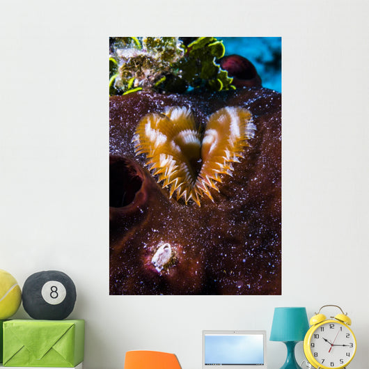 This Segmented Worm Lives Wall Decal