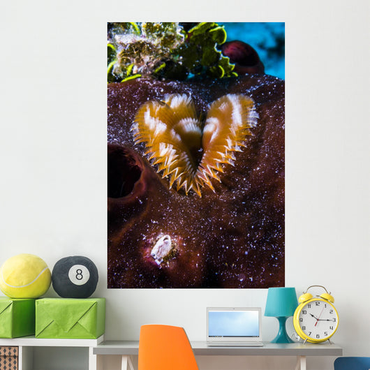 This Segmented Worm Lives Wall Decal