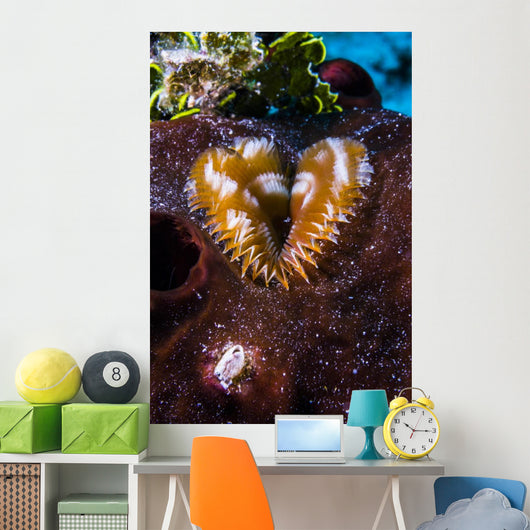 This Segmented Worm Lives Wall Decal