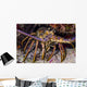 Spiny Lobster Grand Cayman Wall Decal