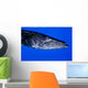 Barracuda Grand Cayman Cayman Wall Decal