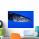 Barracuda Grand Cayman Cayman Wall Decal