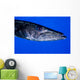 Barracuda Grand Cayman Cayman Wall Decal