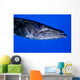 Barracuda Grand Cayman Cayman Wall Decal