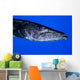 Barracuda Grand Cayman Cayman Wall Decal