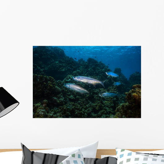 Tarpon Pass Reef Grand Wall Decal